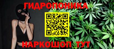 молекула духа Будённовск