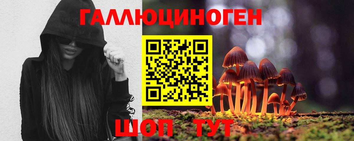 Псилоцибиновые грибы мухоморы Хабаровск